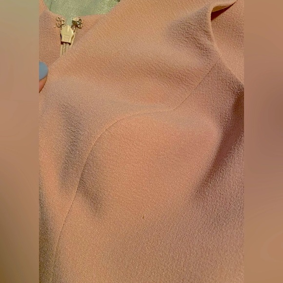 Dress the Population Sandra V Neck Gown: Blush - Picture 6 of 9